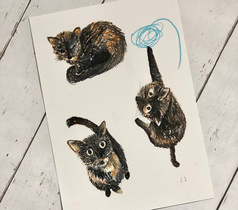 Three Cats - a portrait in progress